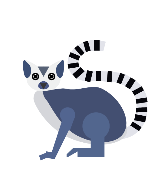 image vectorielle d'un lémurien